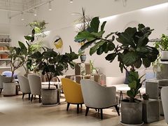 -逗葉茶事·新中式茶饮(创始店)