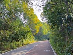 -艾溪湖湿地公园