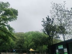 -WeLope紫金山探险公园