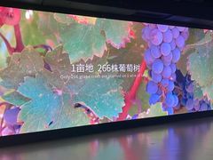 -北京张裕爱斐堡酒庄