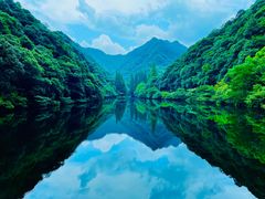 -宁海森林温泉