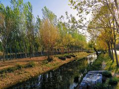 -东郊湿地公园