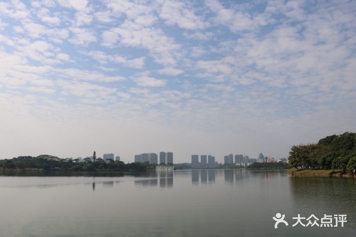 松山湖南湖湾露营营地图片