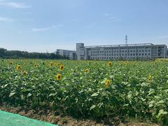 -南京信息职业技术学院