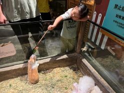-造物庄园 萌宠纪(苏州湾歌林公园店)