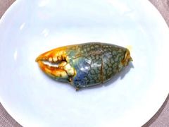-子福慧(虹桥店)