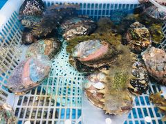 -港畔赶海蒸汽海鲜烧烤自助(仙螺岛店)