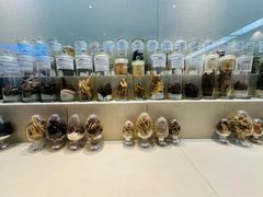 -广东中医药博物馆