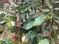 -豆舞咖啡(民乐路店)