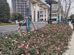 -漕溪路(地铁站)