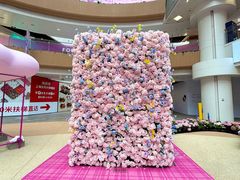 -上海长风大悦城