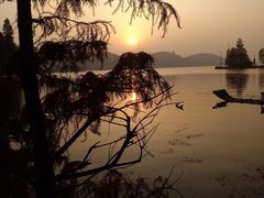 -东湖落雁景区
