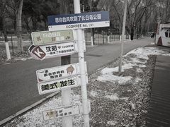 -长白岛森林公园