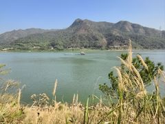 -羚羊峡古栈道森林公园