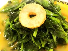 -人间采蜜(海信广场店)