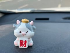 -许阿姨糕团店(南京总店)