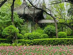 -迎泽公园