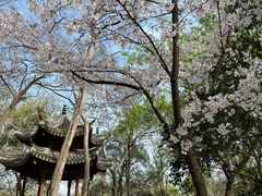 -采石矶景区