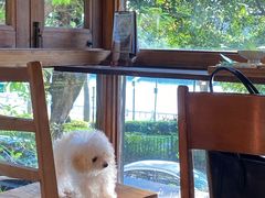 -时光花园(白鹭洲店)