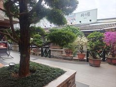 -猪肉婆私房菜(容桂总店)
