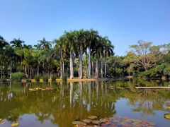 -中国科学院西双版纳热带植物园