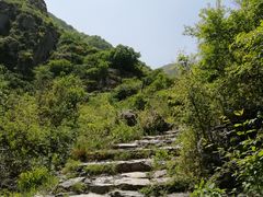 -阳台山自然风景区