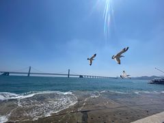 -星海广场