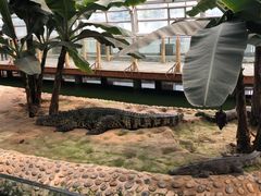 -石家庄市动物园