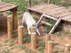 -石家庄市动物园