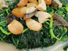 上汤苋菜-腰记饭店(龙源路店)