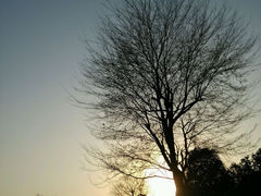 android_upload_pic-湖北经济学院-图书馆