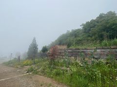 -东白山