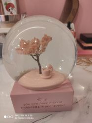 -汐月Health纤体spa中心