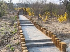 -白水寺森林公园