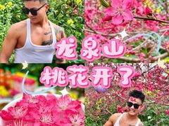 -桃源山庄·水蜜桃采摘·柴火鸡·烧烤团建(龙泉山店)