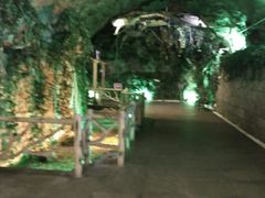 -青岛葡萄酒博物馆