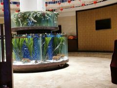 -巴陵全鱼席(湖南老字号汴河街店 )