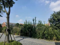 -美兰湖景区