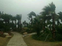 -瑶湖郊野森林公园