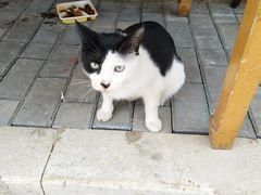 -三点小吃(山大店)