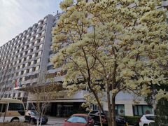 -北京京伦饭店