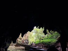 -怀托摩萤火虫洞