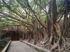 -南沙天后宫景区