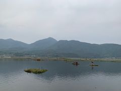 -腾冲北海湿地