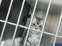 -北京恒爱动物医院(清景园分院)