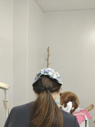 -安徽合肥韩美整形外科医院