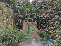 -南山植物园
