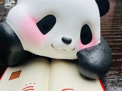 -轩客会(熊猫书店)
