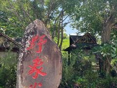 -野象谷景区
