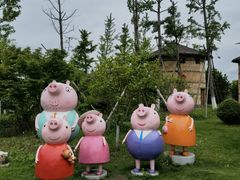 -杭州湾海上花田景区